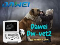 Máy siêu âm thú y Dawei DW-VET2.
