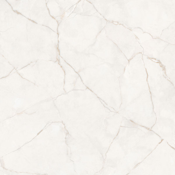 Gạch đá marble bóng kính toàn phần Ý Mỹ P88020C