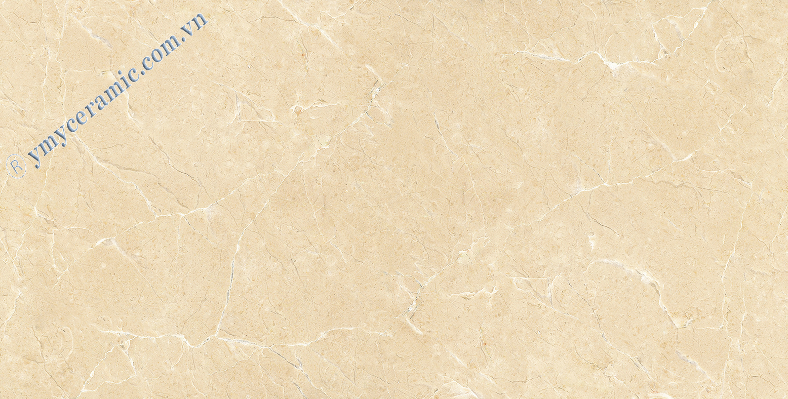 Gạch granite bóng kính toàn phần Ý Mỹ P6128009