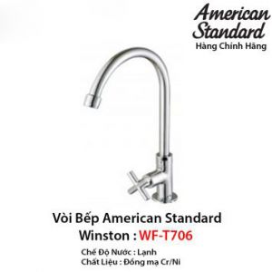 Vòi Rửa Bát 1 Đường Lạnh American Standard WF-T706